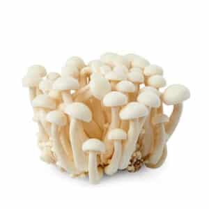 Шимеджи грибы